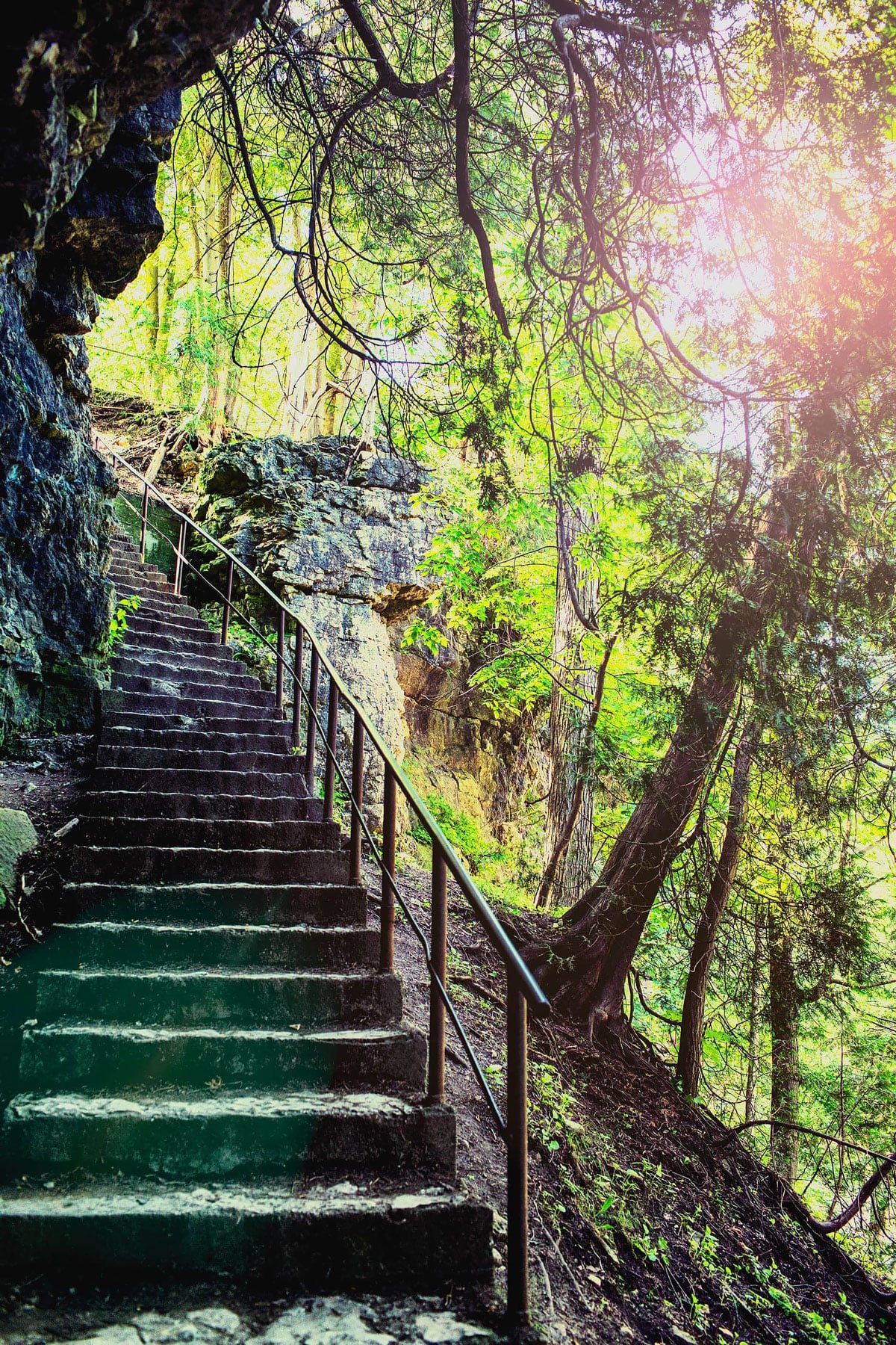stairs leading down to the Elora Gorge