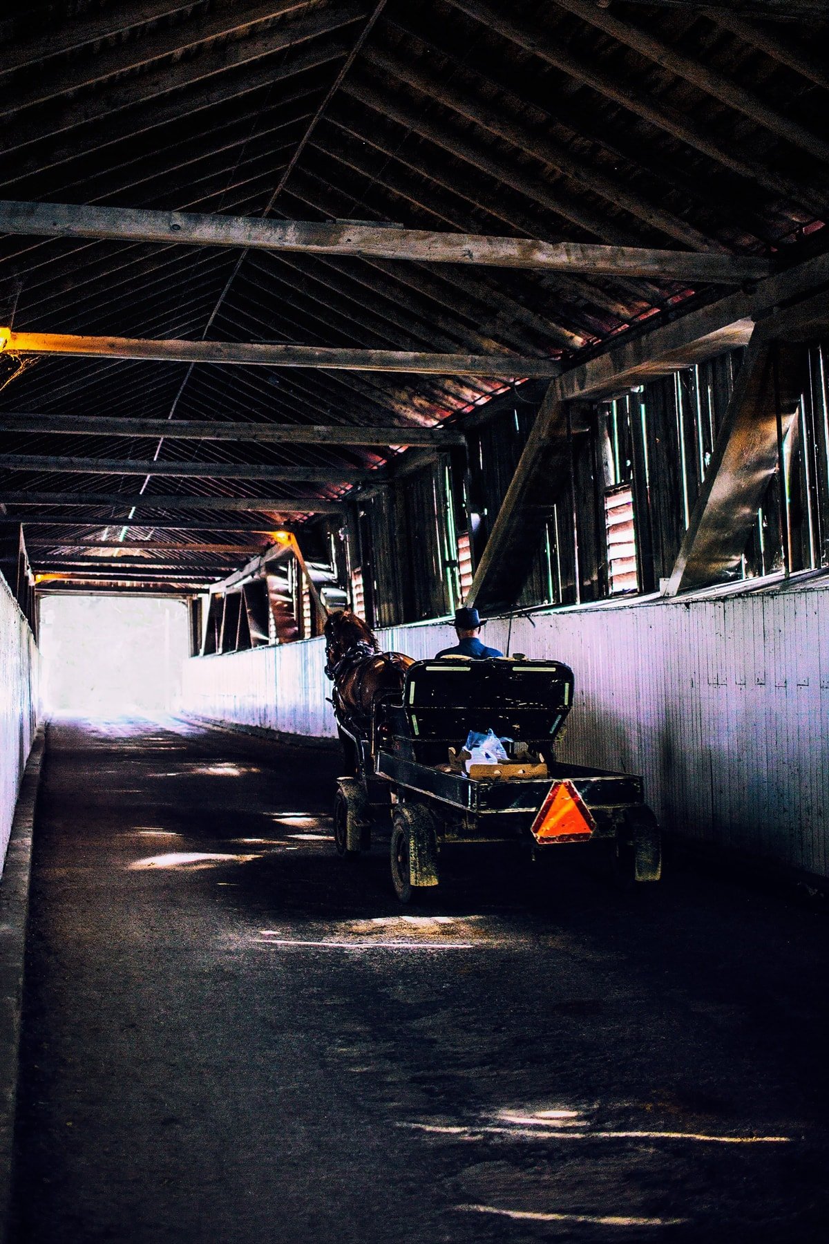 Horse drawn carriage at west montrose covered bridge or kissing bridge