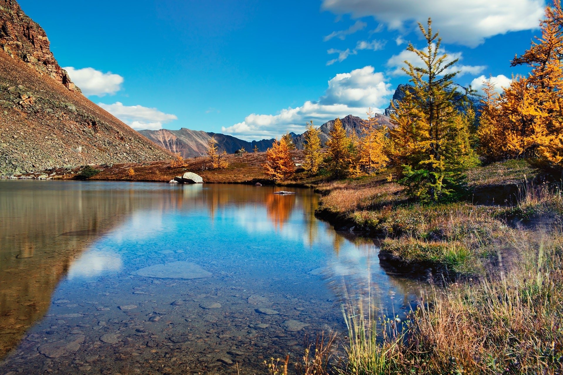 Minnestimma lake surrounded by golden larch trees with mountains in the background at valley of the ten peaks hike