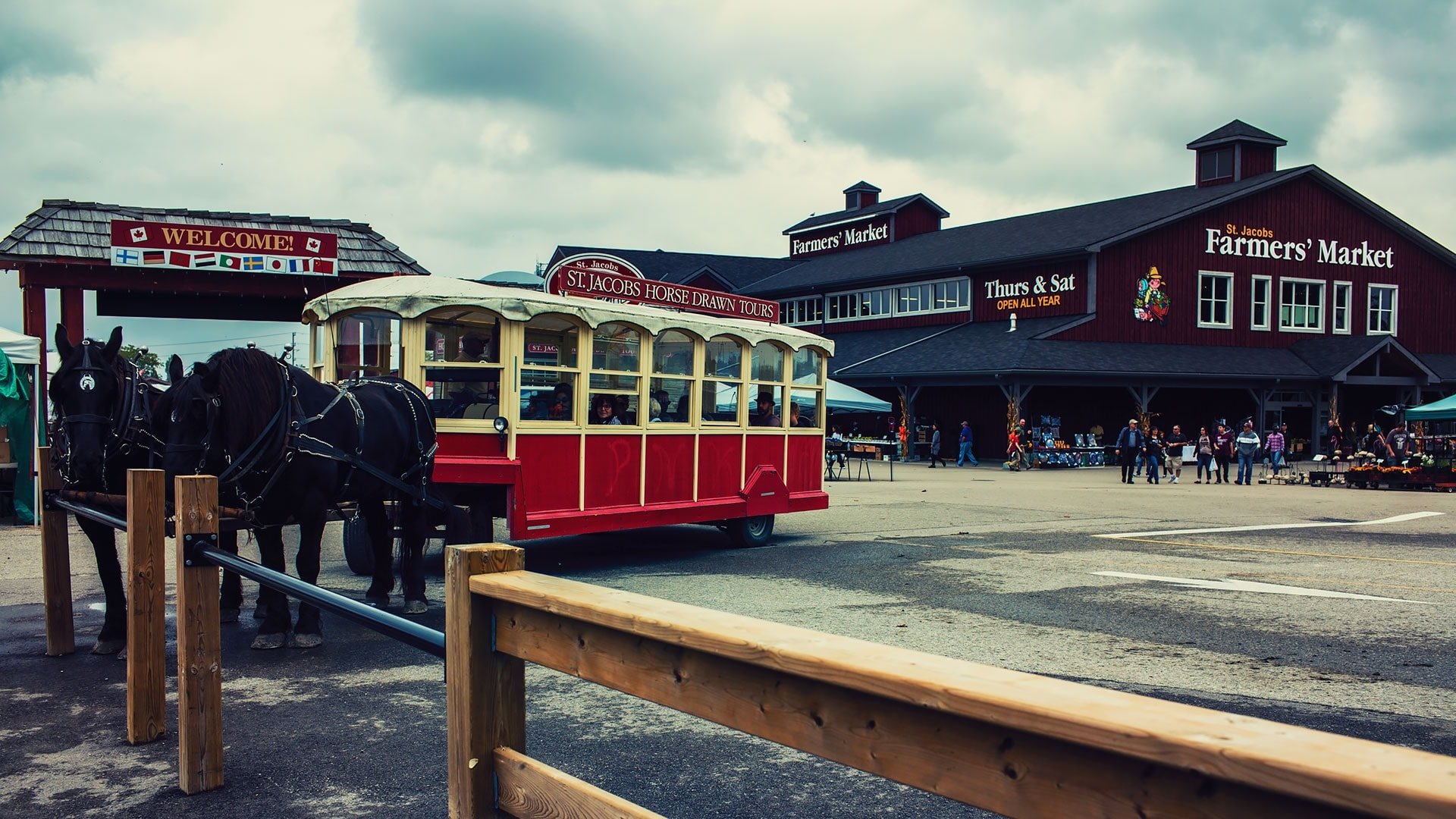 horse drawn tour at st jacobs farmers market