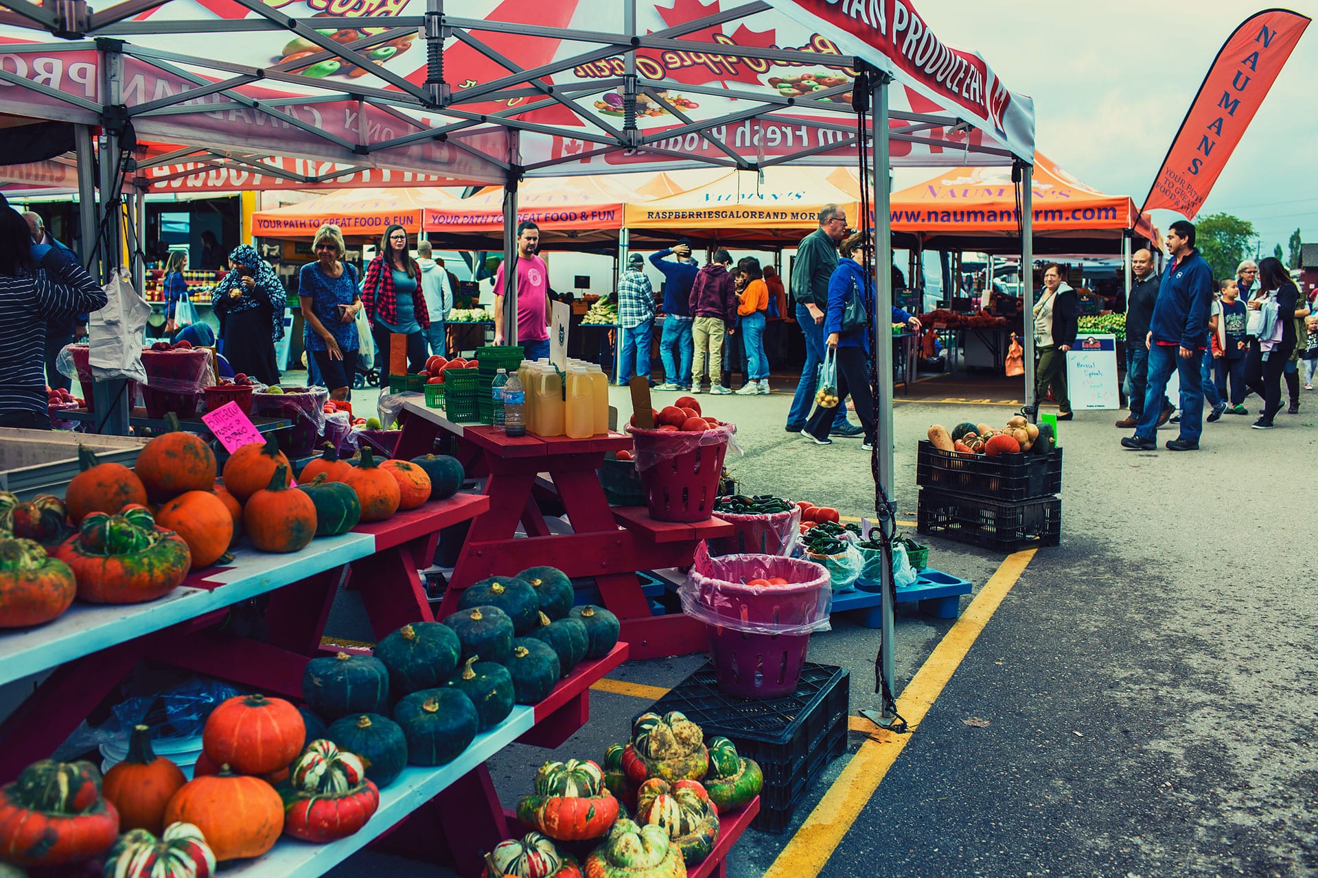 plenty of pumpkins at st jacobs farmers market