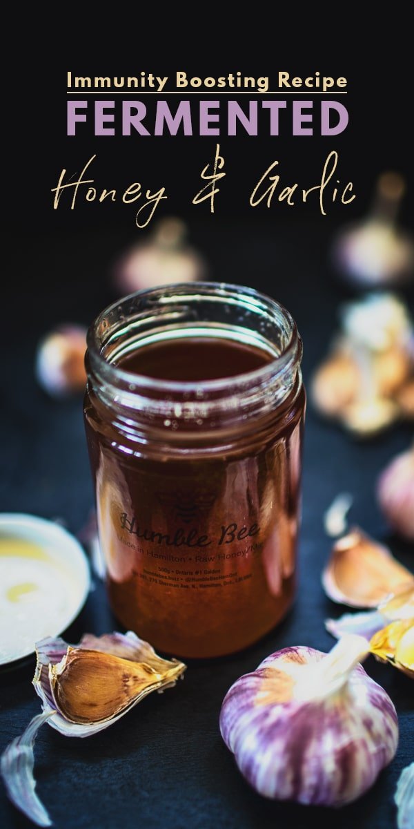 Garlic and Honey Fermentation: Garlic and Honey Benefits During Flu Season Honey Garlic Ferment Recipe