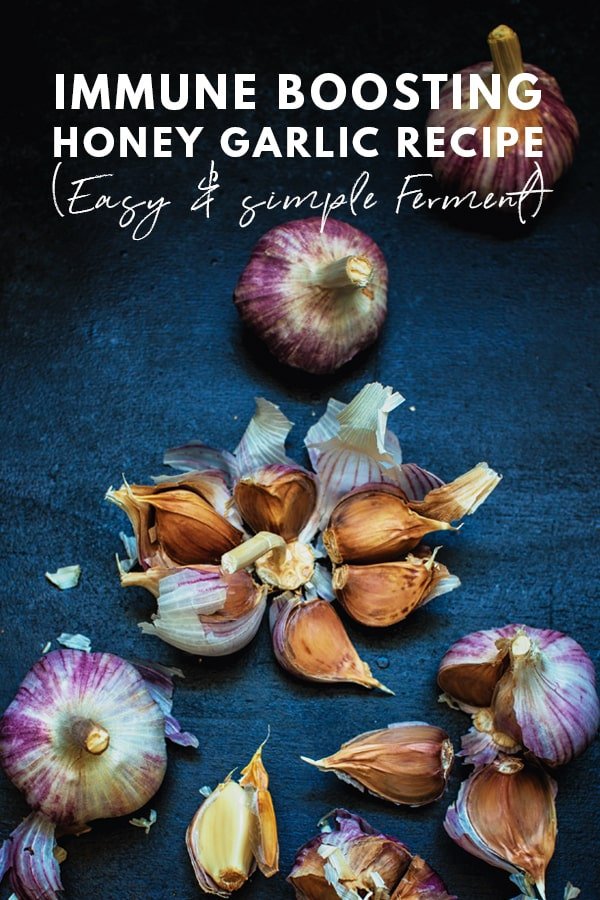 Garlic and Honey Fermentation: Garlic and Honey Benefits During Flu Season Healthy Immune Boosting Garlic Honey Ferment Recipe Easy Fermentation