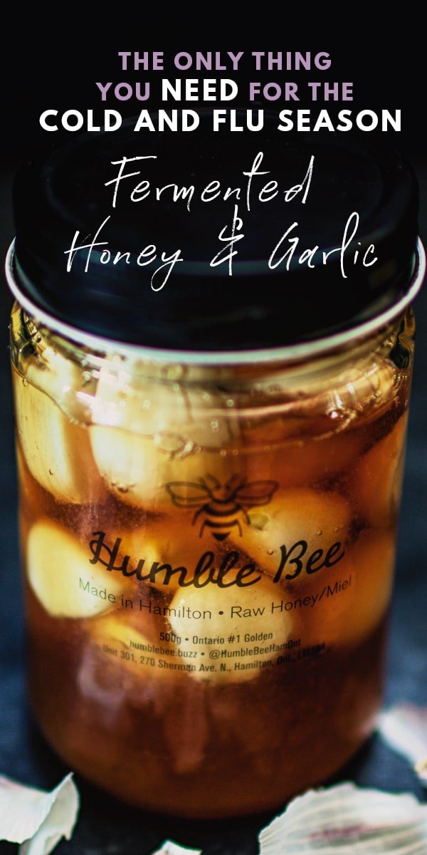 Garlic and Honey Fermentation: Garlic and Honey Benefits During Flu Season Garlic Honey Recipe and Benefits of Honey and Garlic